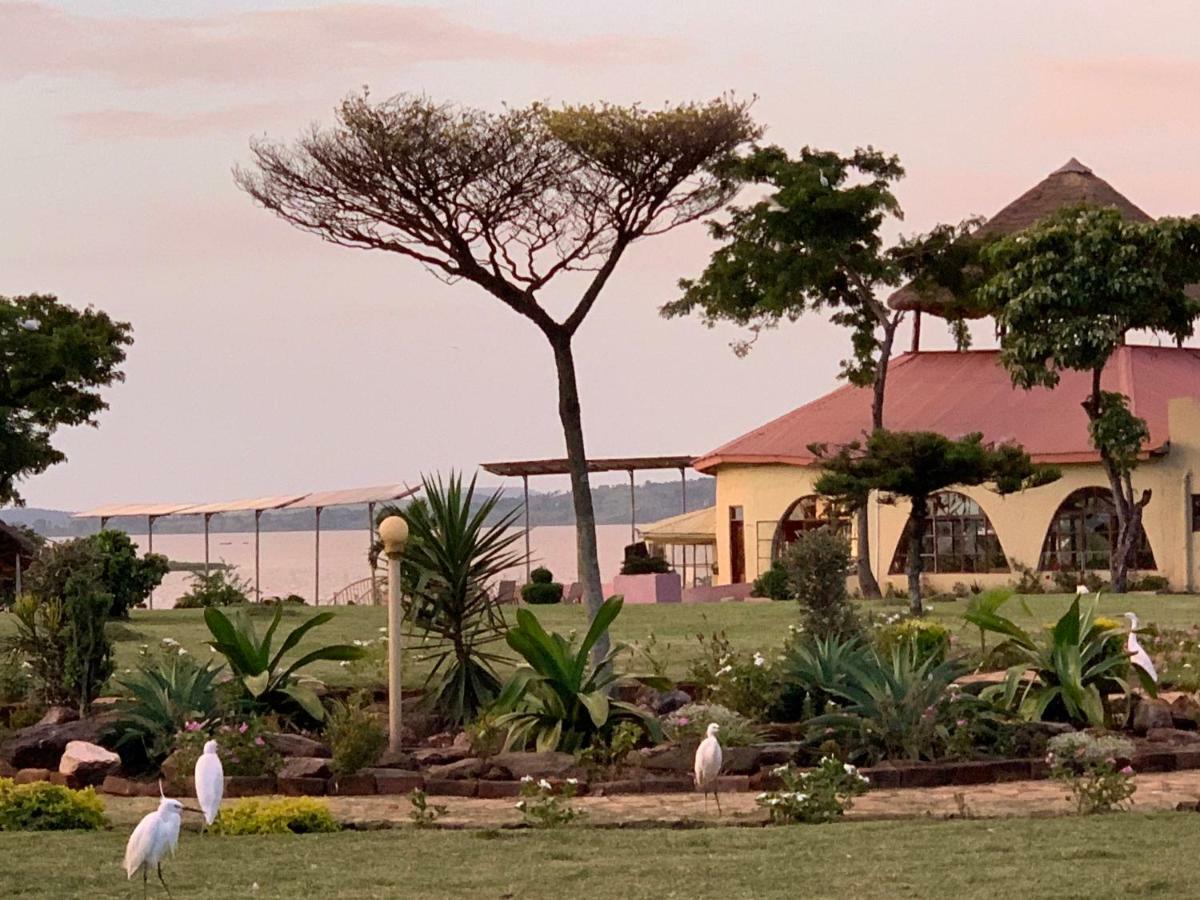 Вілла Samuka Island Retreat Джінджа Екстер'єр фото